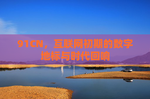 91CN，互联网初期的数字地标与时代回响