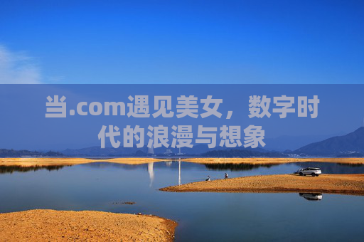 当.com遇见美女，数字时代的浪漫与想象