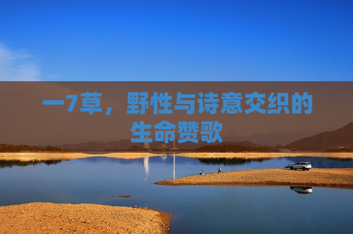 一7草，野性与诗意交织的生命赞歌