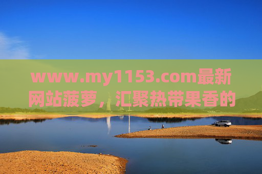 www.my1153.com最新网站菠萝，汇聚热带果香的数字资源库