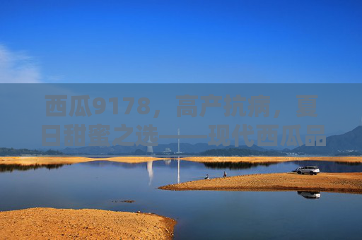 西瓜9178，高产抗病，夏日甜蜜之选——现代西瓜品种的典范