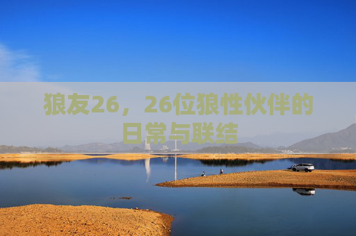 狼友26，26位狼性伙伴的日常与联结
