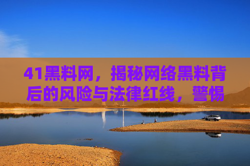 41黑料网，揭秘网络黑料背后的风险与法律红线，警惕个人信息泄露与网络暴力陷阱