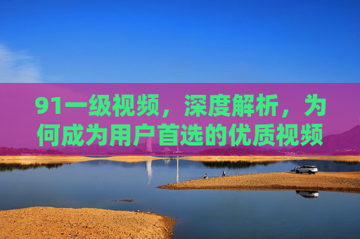 91一级视频，深度解析，为何成为用户首选的优质视频资源平台？