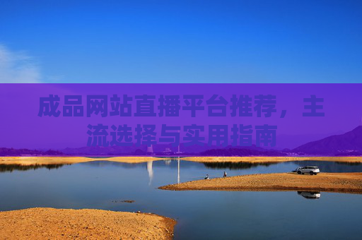 成品网站直播平台推荐，主流选择与实用指南