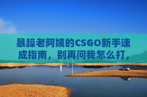 暴躁老阿姨的CSGO新手速成指南，别再问我怎么打，先学怎么骂人，再学怎么赢（伪）
