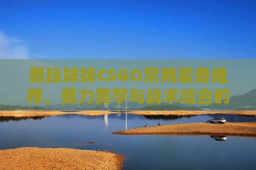 暴躁妹妹CSGO常用装备推荐，暴力美学与战术结合的装备选择