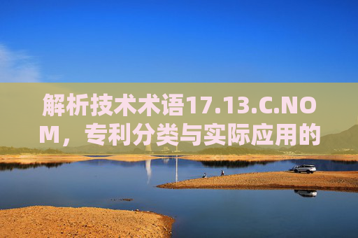 解析技术术语17.13.C.NOM，专利分类与实际应用的多维解析