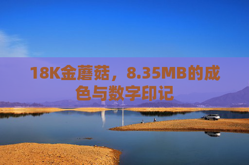 18K金蘑菇，8.35MB的成色与数字印记