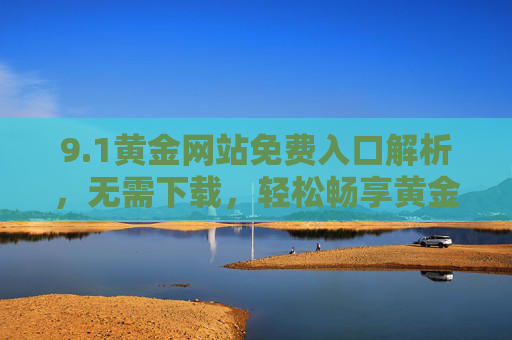 9.1黄金网站免费入口解析，无需下载，轻松畅享黄金资讯与交易机会