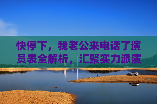 快停下，我老公来电话了演员表全解析，汇聚实力派演员，演绎现代婚姻的温情与笑料