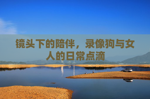 镜头下的陪伴，录像狗与女人的日常点滴