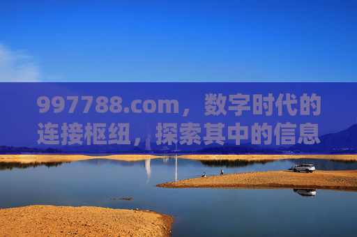 997788.com，数字时代的连接枢纽，探索其中的信息与机遇