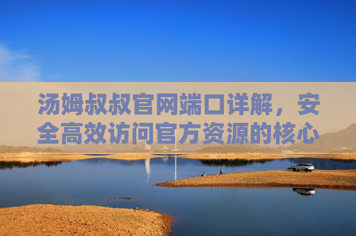 汤姆叔叔官网端口详解，安全高效访问官方资源的核心指南