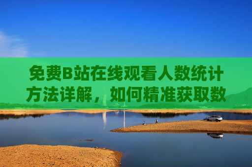免费B站在线观看人数统计方法详解，如何精准获取数据？