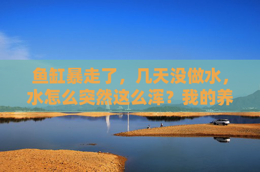 鱼缸暴走了，几天没做水，水怎么突然这么浑？我的养鱼小教训