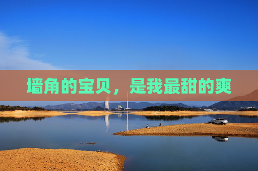 墙角的宝贝，是我最甜的爽