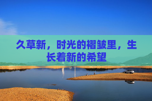久草新，时光的褶皱里，生长着新的希望