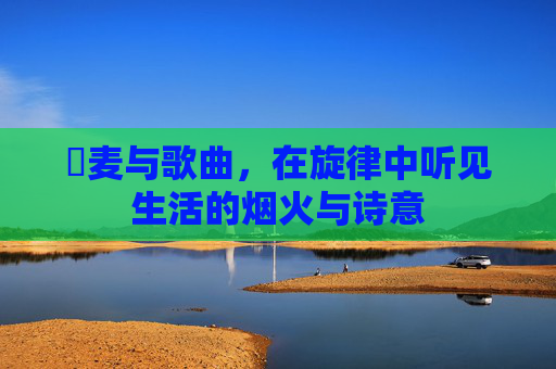 騒麦与歌曲，在旋律中听见生活的烟火与诗意