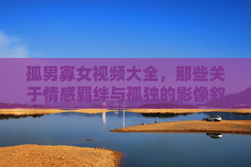 孤男寡女视频大全，那些关于情感羁绊与孤独的影像叙事