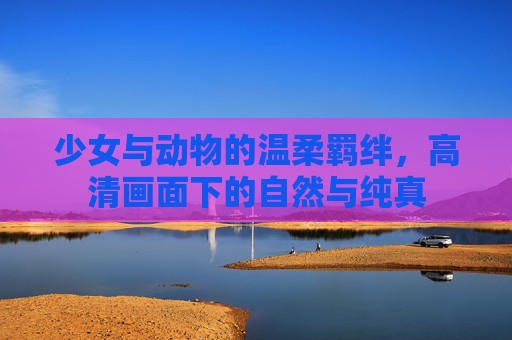 少女与动物的温柔羁绊，高清画面下的自然与纯真
