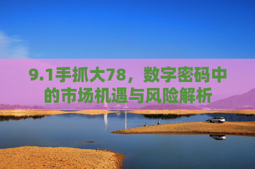 9.1手抓大78，数字密码中的市场机遇与风险解析