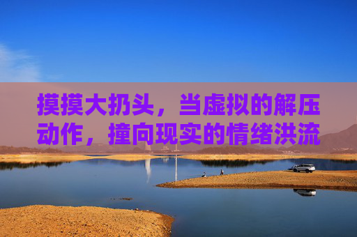 摸摸大扔头，当虚拟的解压动作，撞向现实的情绪洪流