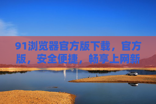 91浏览器官方版下载，官方版，安全便捷，畅享上网新体验