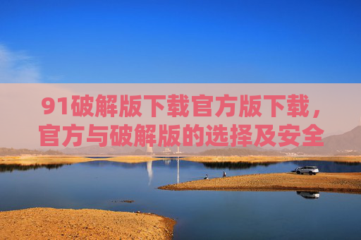 91破解版下载官方版下载，官方与破解版的选择及安全指南