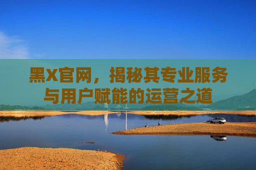 黑X官网，揭秘其专业服务与用户赋能的运营之道
