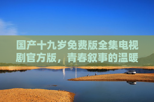 国产十九岁免费版全集电视剧官方版，青春叙事的温暖共鸣，官方资源全解析