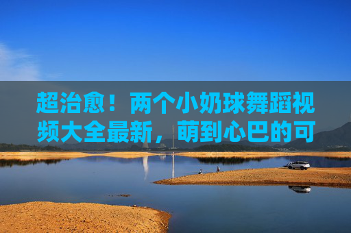 超治愈！两个小奶球舞蹈视频大全最新，萌到心巴的可爱舞蹈合集，快来收藏！
