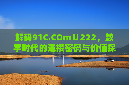 解码91C.COm∪222，数字时代的连接密码与价值探索