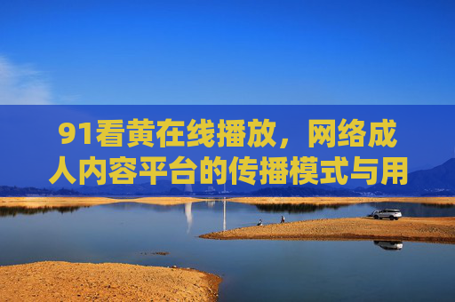 91看黄在线播放，网络成人内容平台的传播模式与用户行为分析