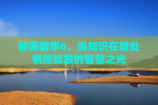 秘密教学6，当知识在暗处悄然绽放的智慧之光