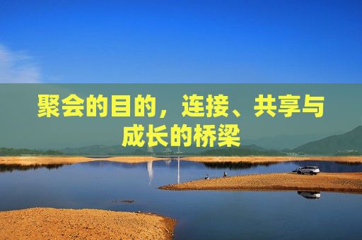 聚会的目的，连接、共享与成长的桥梁