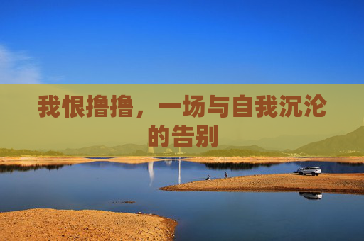 我恨撸撸，一场与自我沉沦的告别