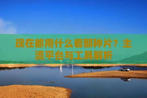 现在都用什么看那种片？主流平台与工具解析