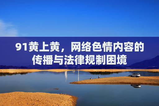 91黄上黄，网络色情内容的传播与法律规制困境