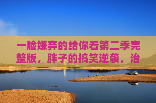 一脸嫌弃的给你看第二季完整版，胖子的搞笑逆袭，治愈你的不开心