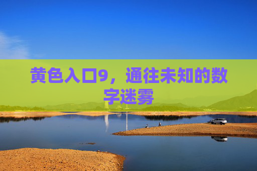 黄色入口9，通往未知的数字迷雾
