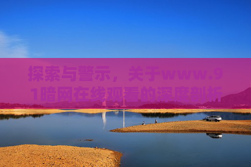 探索与警示，关于www.91暗网在线观看的深度剖析