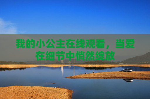 我的小公主在线观看，当爱在细节中悄然绽放