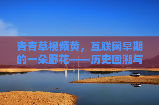 青青草视频黄，互联网早期的一朵野花——历史回溯与时代反思
