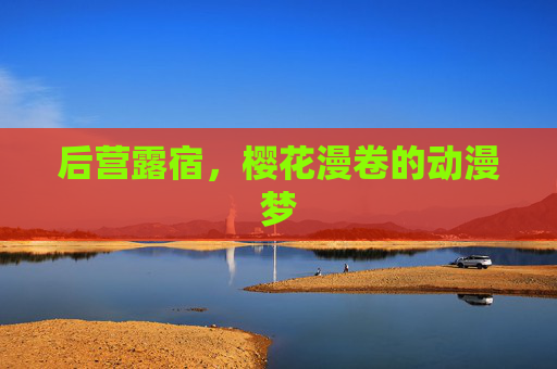 后营露宿，樱花漫卷的动漫梦