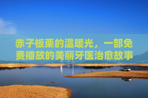 赤子板栗的温暖光，一部免费播放的美丽牙医治愈故事