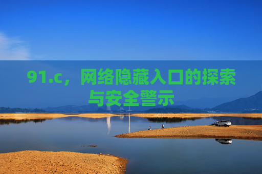 91.c，网络隐藏入口的探索与安全警示