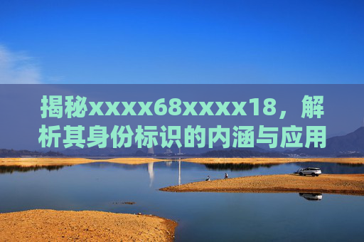 揭秘xxxx68xxxx18，解析其身份标识的内涵与应用价值