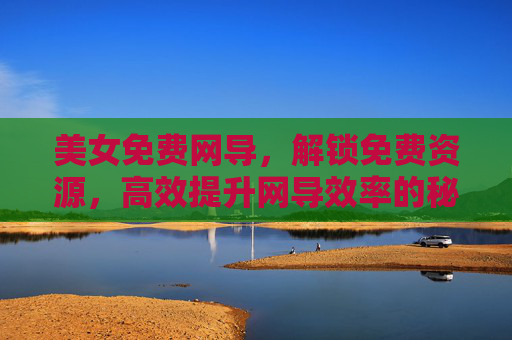 美女免费网导，解锁免费资源，高效提升网导效率的秘诀
