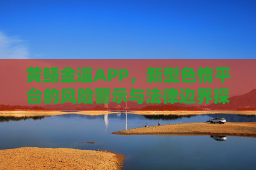 黄鳝金逼APP，新型色情平台的风险警示与法律边界探析